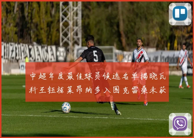 中超年度最佳球员候选名单揭晓瓦科王钰栋莱昂纳多入围克雷桑未获提名